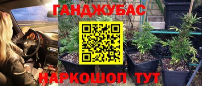 mix Гусиноозёрск