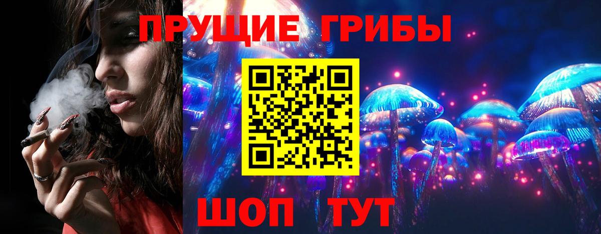 Псилоцибиновые грибы Psilocybe Медногорск