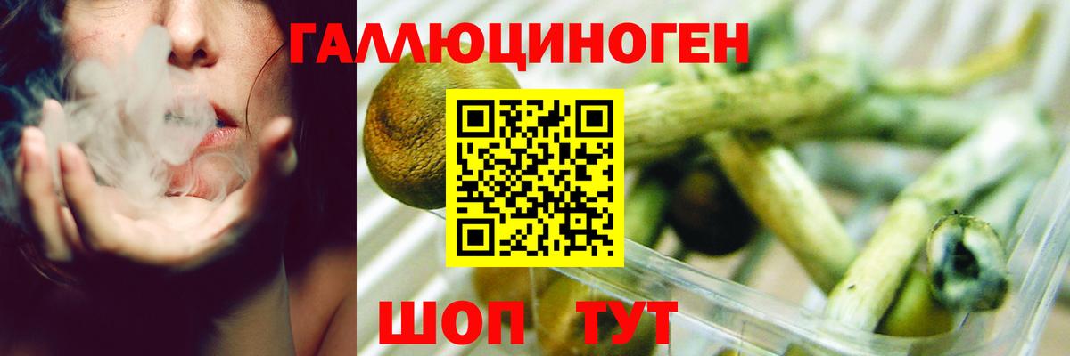 Псилоцибиновые грибы Cubensis  Псилоцибиновые грибы мицелий  Вход с VPN  Медногорск 